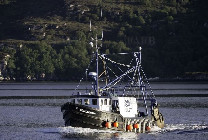 42 ft multi- purpose