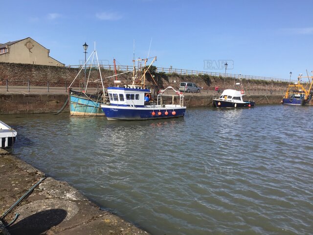 Large picture for advert 113241