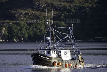 Main picture for advert 130491
