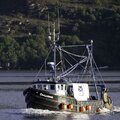 Extra picture for advert 130491