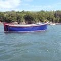 Extra picture for advert 104341