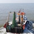 Extra picture for advert 126791