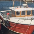 Extra picture for advert 102141